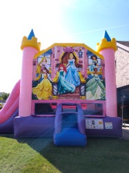 IMG 20240616 101831698 1742839844 Disney Princess EZ Combo Wet or Dry