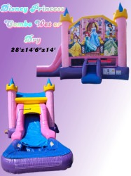 IMG 20240620 094900 1742839846 Disney Princess EZ Combo Wet or Dry