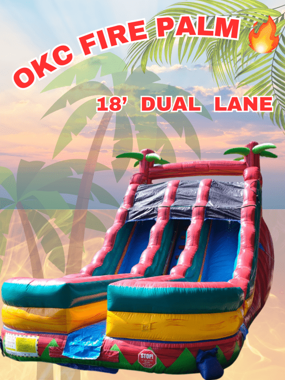 18' H Fire Slide Dual Lane