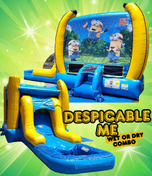 Despicable Me EZ Combo Wet or Dry
