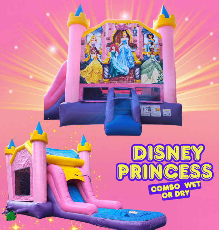 Disney Princess EZ Combo Wet or Dry