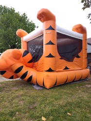 IMG 20250417 170241109 1752123289 Tiger Belly Bouncer