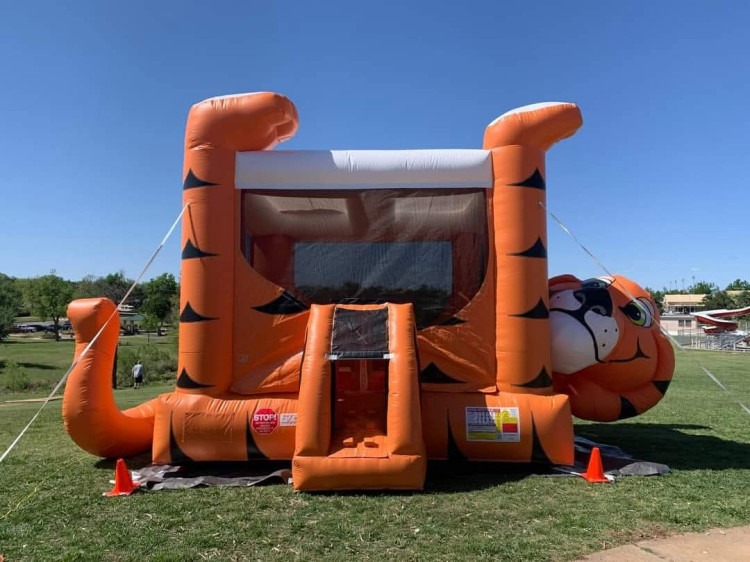 Tiger Belly Bouncer