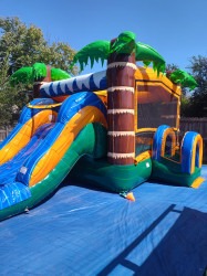 TROPICAL OCEAN PHOTO 2026 01 06 00 23 19201 1768022753 TROPICAL OCEAN