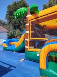 PHOTO 2026 01 06 00 23 19 1767941057 TROPICAL OCEAN