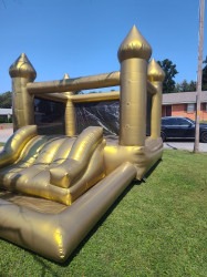 PHOTO 2026 01 06 00 26 54 1768022441 IMPERIAL GOLD