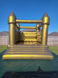 PHOTO 2026 01 06 01 26 30203 1768023423 ALI GOLD